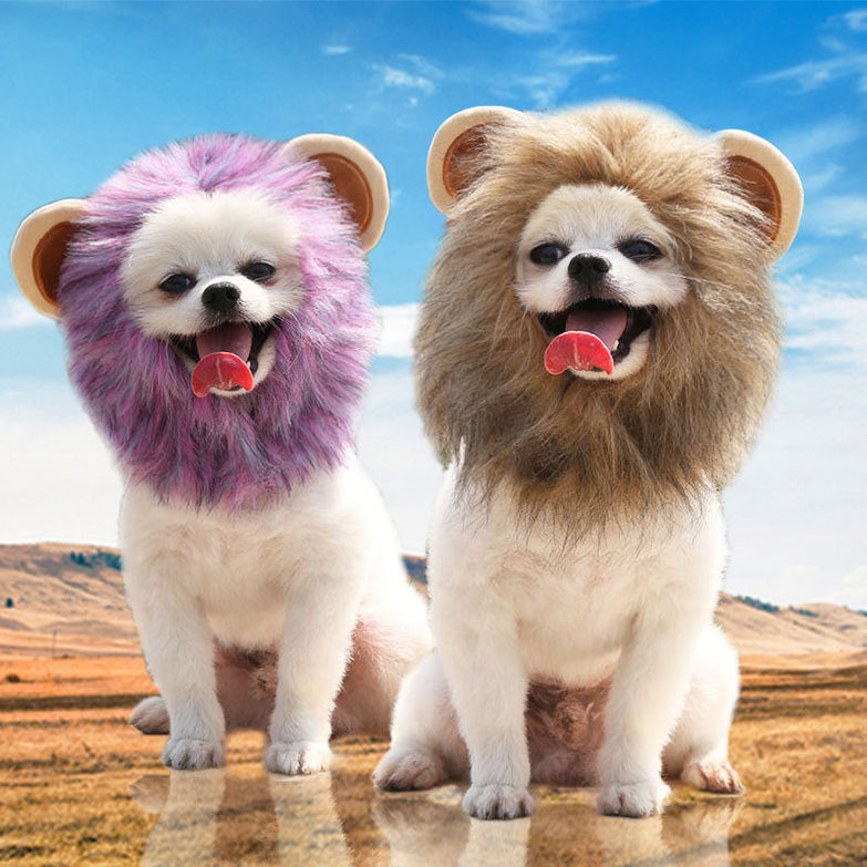 Lion mane hats for pets, featuring two small dogs wearing purple and brown mane caps outdoors.