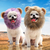 Lion mane hats for pets, featuring two small dogs wearing purple and brown mane caps outdoors.