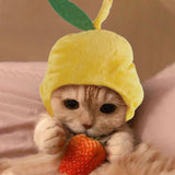 Curly hair pet hat on cat with plush yellow design and playful cartoon pattern.