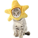 Curly Hair Pet Hat for Cats, Plush Cartoon Design