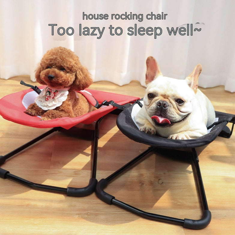 Two dogs sitting comfortably in portable rocking chairs indoors.