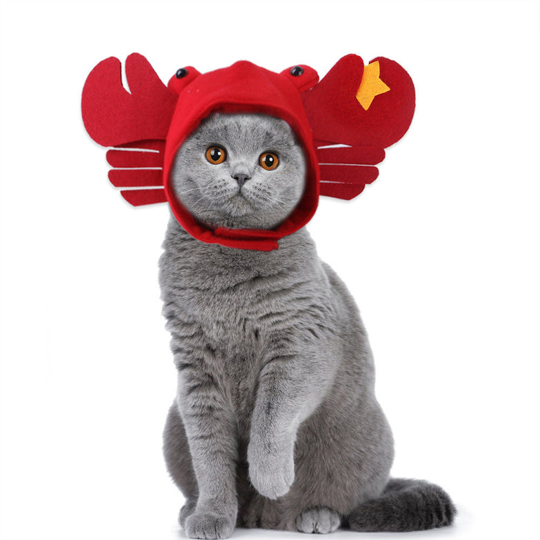 Cat wearing a plush curly hair pet hat with a cartoon pattern.