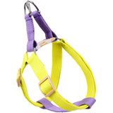 No pull nylon dog harness and leash set in purple and yellow for small dogs like Yorkies and Chihuahuas.