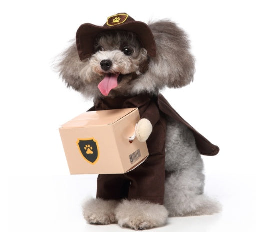 Cosplay pet supplies standing outfit for dogs with hat and cloak, suitable for Halloween and Christmas.