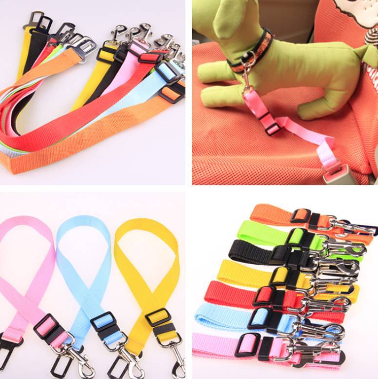 Colorful fixed strap polyester dog leashes with durable metal clips.