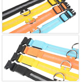 Nylon LED pet dog collar in various colors and sizes, featuring buckle closures for night safety.