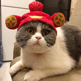 Curly Hair Pet Hat in plush material on a cat, featuring a cartoon pattern in vibrant colors.