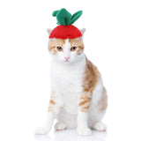 Cat wearing a curly hair pet hat with cartoon design.