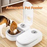 Automatic pet feeder for dogs with timer and stainless steel bowl on wooden floor.