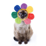 Cat wearing colorful plush Curly Hair Pet Hat with cartoon pattern.