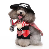 Funny dog in pirate costume with hat and cloak, perfect for Halloween and Christmas dress-up.