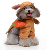 Cosplay pet costume for dogs featuring cartoon design with hat, clothes, and cloak.