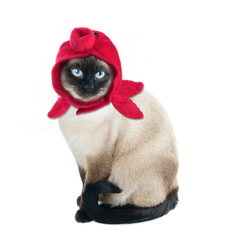 Curly Hair Pet Hat for Cats in Red Plush Cartoon Design